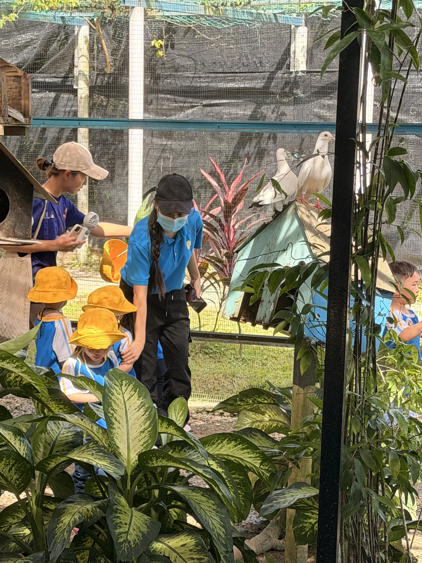 Pelajar berinteraksi dengan haiwan di Audi Dream Farm