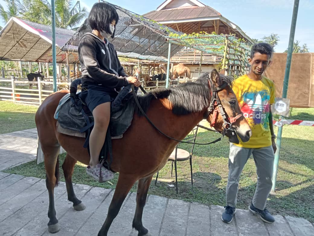 Kanak-kanak menaiki kuda padi dengan panduan
