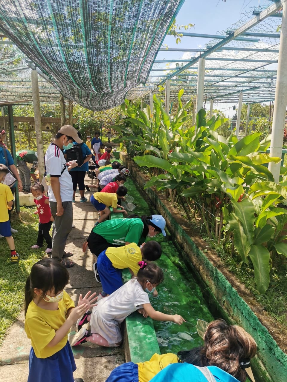 小访客参加捞鱼活动