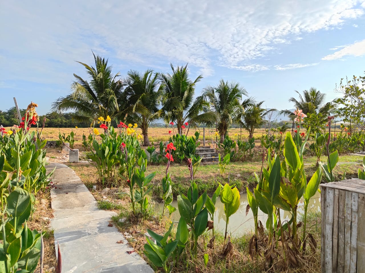 Susunan acara luar di Love UU Garden