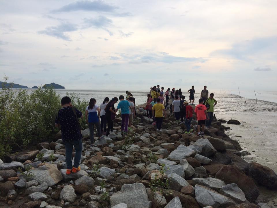 Pelawat di pesisir berbatu Pantai Malindo, Balik Pulau