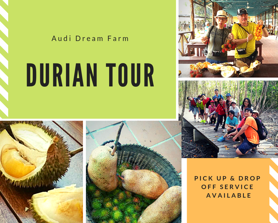 Kad maklumat lawatan durian bermusim