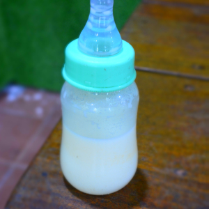 Goat Milk