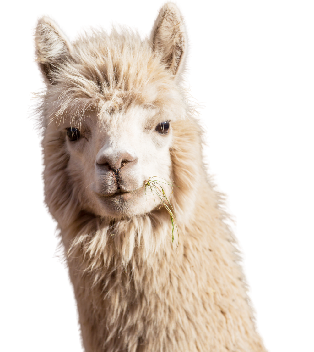 Audi Dream Farm animal